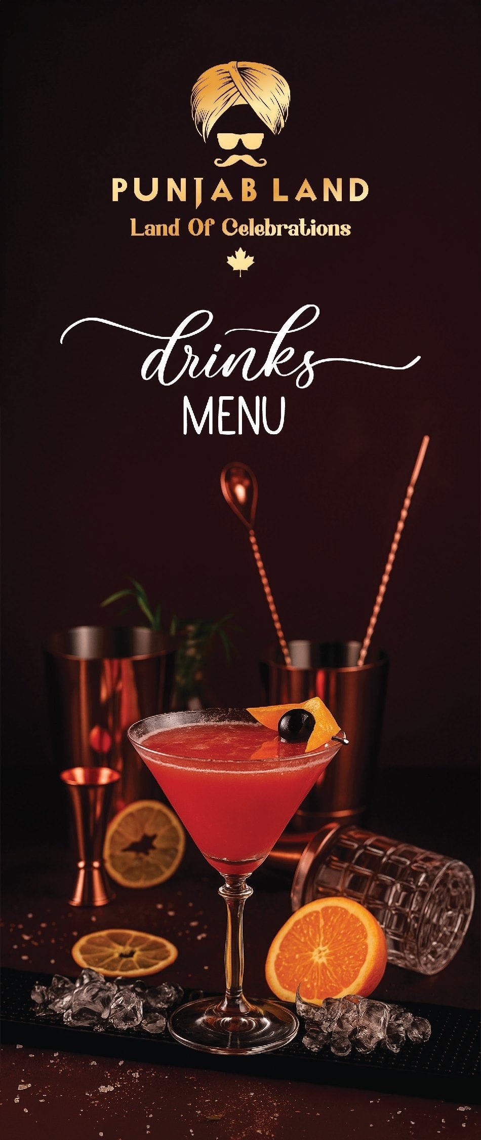 punjabland menu brampton