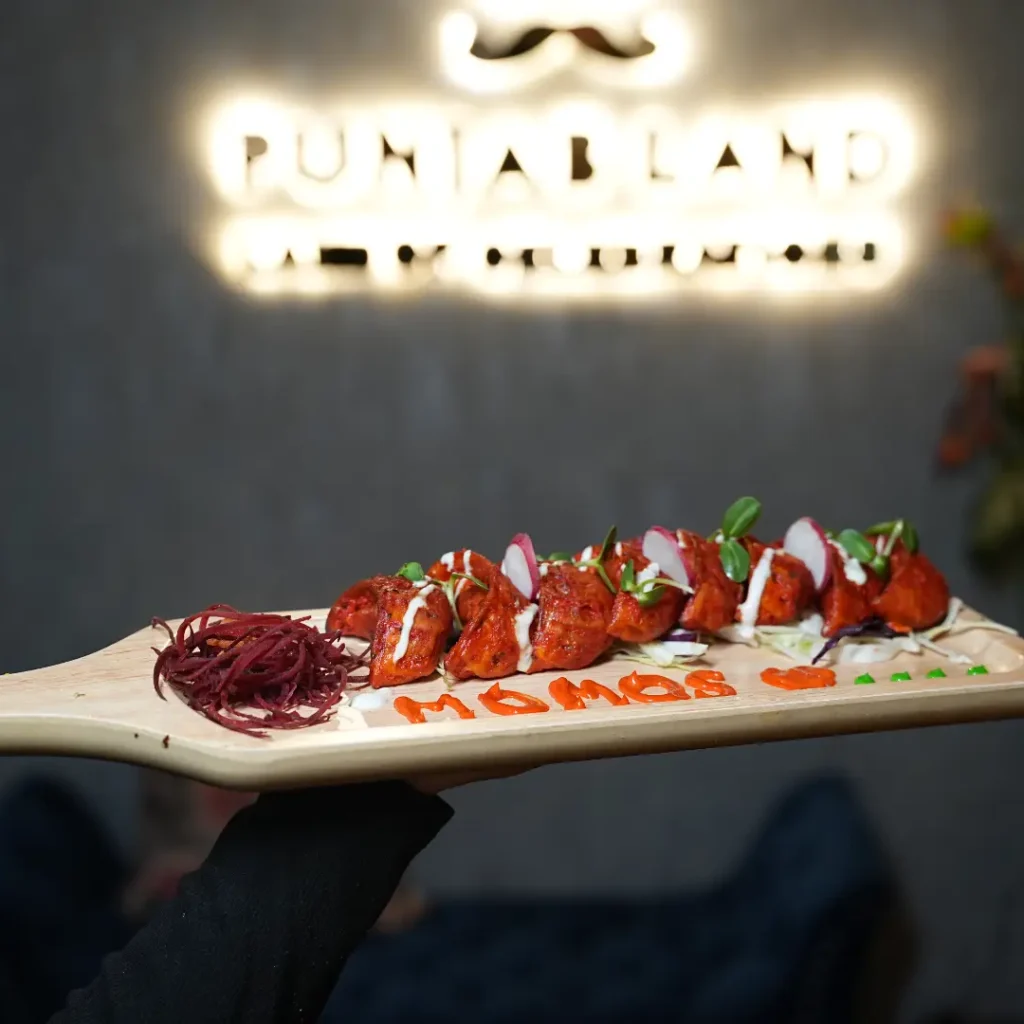 momos served at punjabland brampton