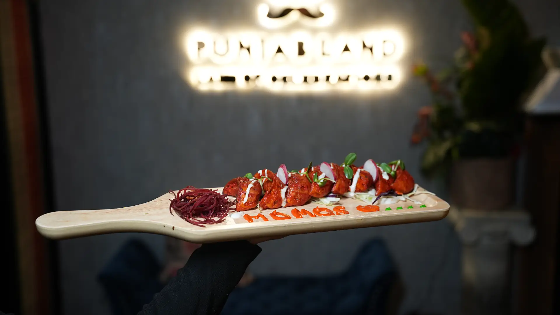 momos served at punjabland brampton